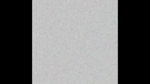 Angie y Andres online show from February 2026 12:10:02 PM