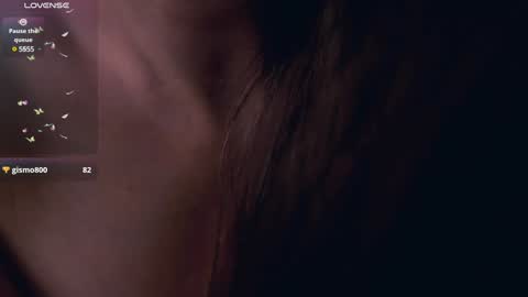     online show from December 2024 07:52:02 PM