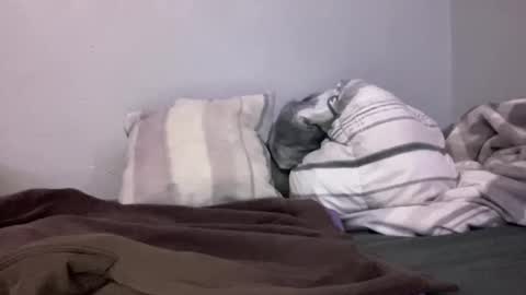 Snapshot of animeboygirls chatting on January 2025 05:05:01 AM Animeboygirls online show from January 2025 05:05:01 AM