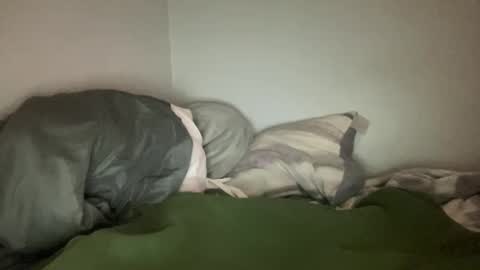 Snapshot of animeboygirls chatting on January 2025 07:49:01 AM Animeboygirls online show from January 2025 07:49:01 AM