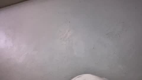 Snapshot of animeboygirls chatting on October 2025 06:36:01 AM Animeboygirls online show from October 2025 06:36:01 AM