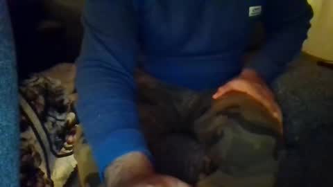 DesiGuy online show from December 2024 08:47:02 PM