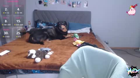 Anadirectgirl online show from February 2025 07:03:02 PM