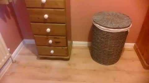 annecharlie online show from November 2025 08:42:01 AM