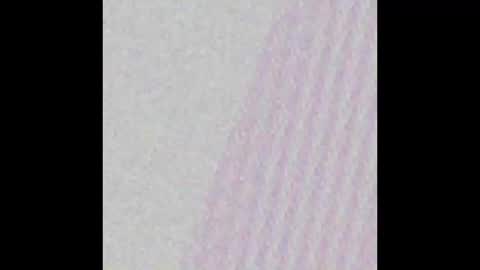 Melani online show from January 2025 08:51:02 PM