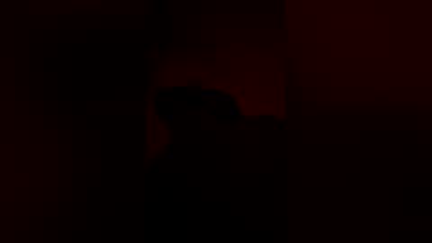 Snapshot of anonomouselee chatting on March 2026 05:24:01 AM anonomouselee online show from March 2026 05:24:01 AM