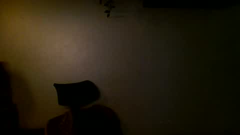 Ant online show from December 2024 04:31:01 PM