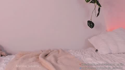 o ANTO online show from January 2025 03:07:01 PM