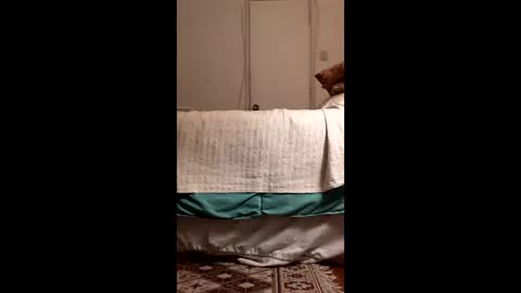 antonino85 online show from March 2026 11:09:01 PM