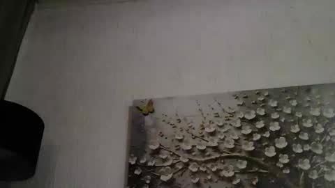 Snapshot of anybigtitts chatting on March 2026 04:42:01 PM AnyBigTitts online show from March 2026 04:42:01 PM