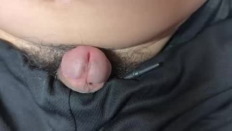 Snapshot of apple2761 chatting on December 2025 06:38:02 PM apple2761 online show from December 2025 06:38:02 PM