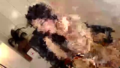 ARABELLA online show from June 2026 02:35:02 AM