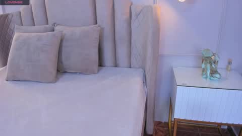 Snapshot of aria_greco chatting on December 2024 02:53:02 AM Aria  online show from December 2024 02:53:02 AM