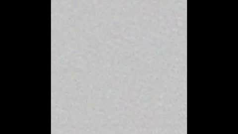 Arianna Collins online show from October 2025 03:05:02 AM