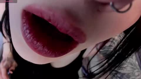 Ariel online show from February 2025 03:04:02 PM