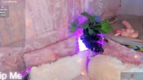 ARII VEGA online show from November 2025 05:05:01 AM