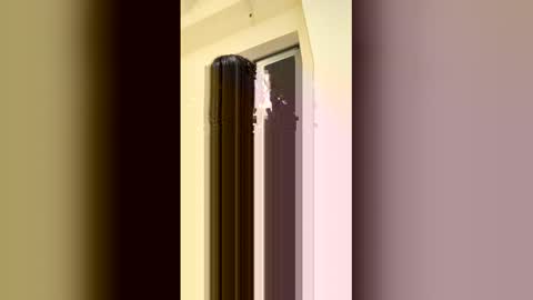 Snapshot of arilavish chatting on April 2026 05:34:01 AM arilavish online show from April 2026 05:34:01 AM