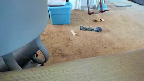 Snapshot of armalite16 chatting on October 2025 01:32:01 PM armalite16 online show from October 2025 01:32:01 PM