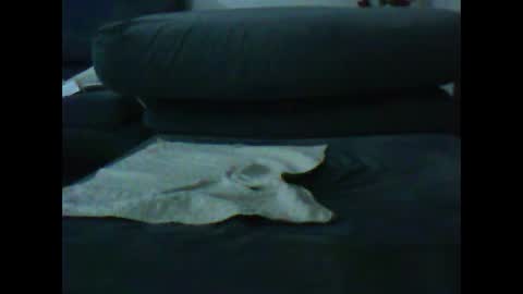 Snapshot of artanm2 chatting on January 2025 06:47:01 PM natra online show from January 2025 06:47:01 PM