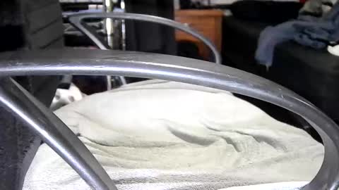 arucard_80 online show from September 2025 07:48:01 PM