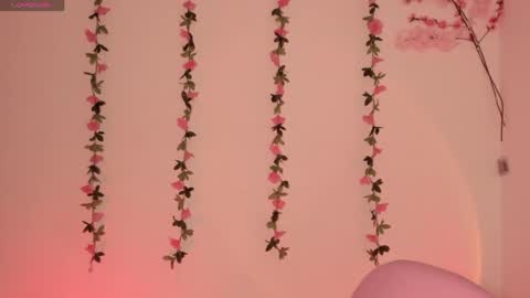 Snapshot of ashleyroys_111 chatting on May 2026 07:44:02 PM dahiana online show from May 2026 07:44:02 PM