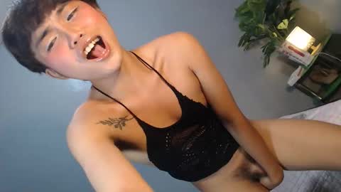 Reyshell online show from February 2026 02:34:01 PM