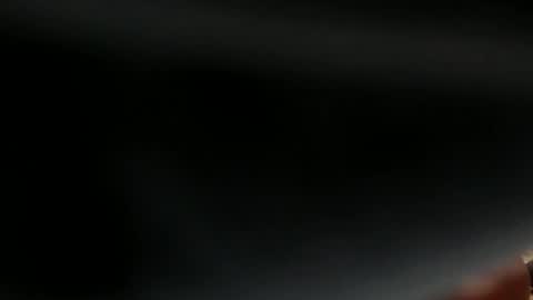 wayne online show from May 2026 12:10:01 PM