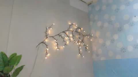 AMARA online show from January 2026 01:04:01 PM