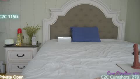 Aspen Wild online show from December 2024 08:58:02 PM