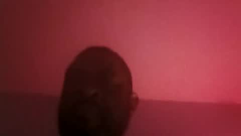 assetr69aldy online show from April 2026 06:46:01 AM