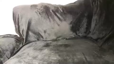 Snapshot of assiology11 chatting on March 2025 05:38:02 PM Assiology online show from March 2025 05:38:02 PM