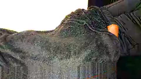 Snapshot of assiology11 chatting on March 2025 08:41:02 PM Assiology online show from March 2025 08:41:02 PM