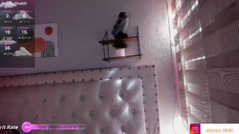 Snapshot of atenea_klett_ chatting on June 2026 02:14:01 PM ATENEA online show from June 2026 02:14:01 PM