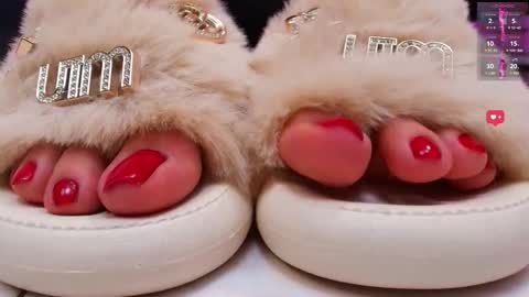 Aurora online show from November 2025 01:26:02 PM