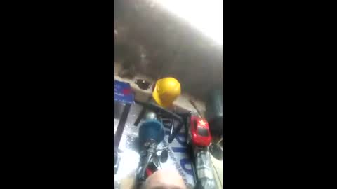 Pluke online show from January 2025 01:47:01 PM