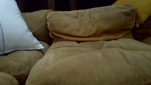 averagecock696969 online show from February 2025 06:17:02 AM