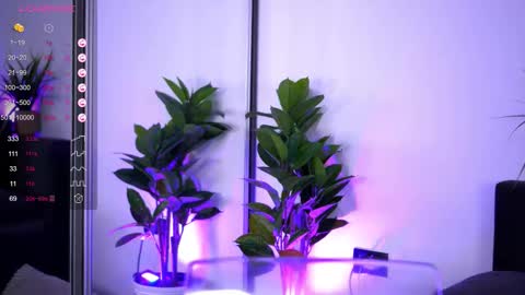 Inna online show from December 2025 04:28:02 AM