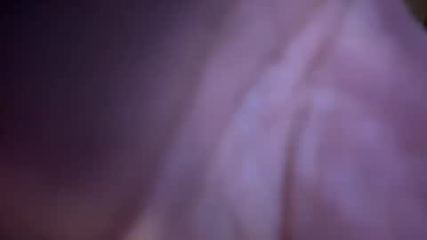 Snapshot of baby_buddha chatting on January 2025 01:28:01 PM baby buddha online show from January 2025 01:28:01 PM