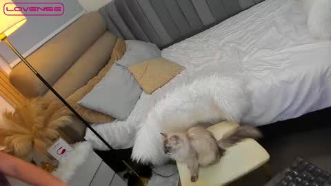 ASK ME IN PM online show from October 2025 01:48:02 PM