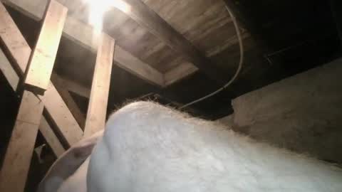 Snapshot of babyxxxangel chatting on September 2025 09:43:02 AM babyxxxangel online show from September 2025 09:43:02 AM