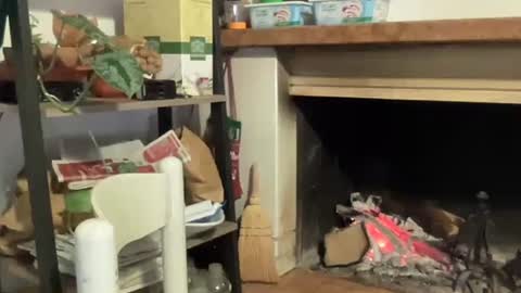 bach online show from December 2024 06:53:02 PM