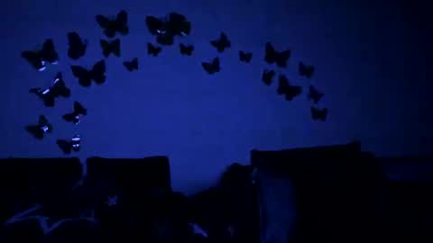 Gina online show from February 2025 06:09:01 PM