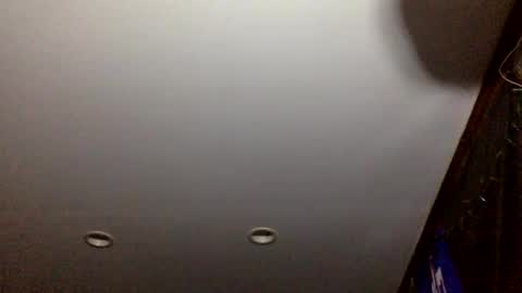 bagchaserbih online show from April 2026 07:17:02 AM