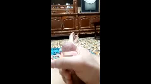 Snapshot of bahaa5555 chatting on February 2026 04:18:02 AM bahaa5555 online show from February 2026 04:18:02 AM