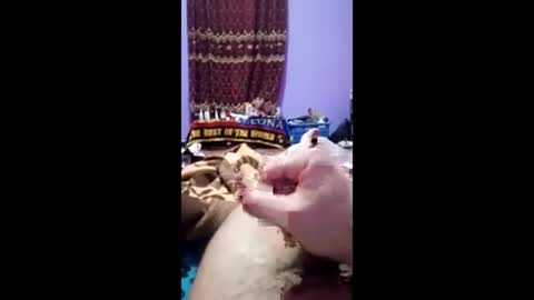 Snapshot of bahaa5555 chatting on March 2026 07:16:02 PM bahaa5555 online show from March 2026 07:16:02 PM