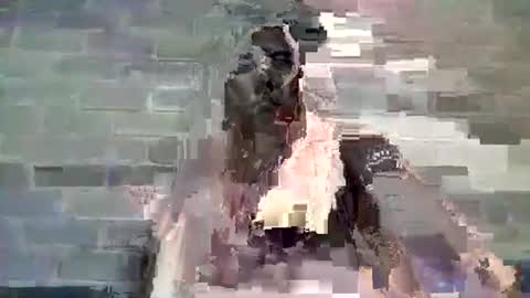 Chaterlain online show from January 2025 11:54:01 AM