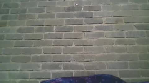 Chaterlain online show from January 2025 01:01:01 PM