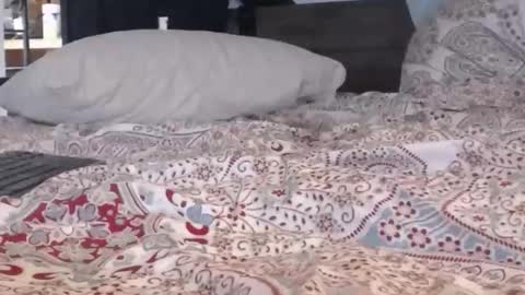 baker305 online show from September 2025 04:17:01 AM