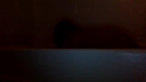 Snapshot of ballsbedraggin chatting on December 2024 07:27:02 AM lets fuck my cock online show from December 2024 07:27:02 AM