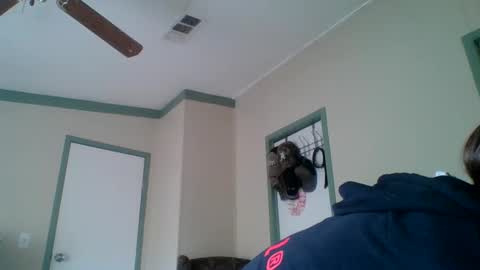 bamacpl80 online show from December 2024 05:26:02 PM